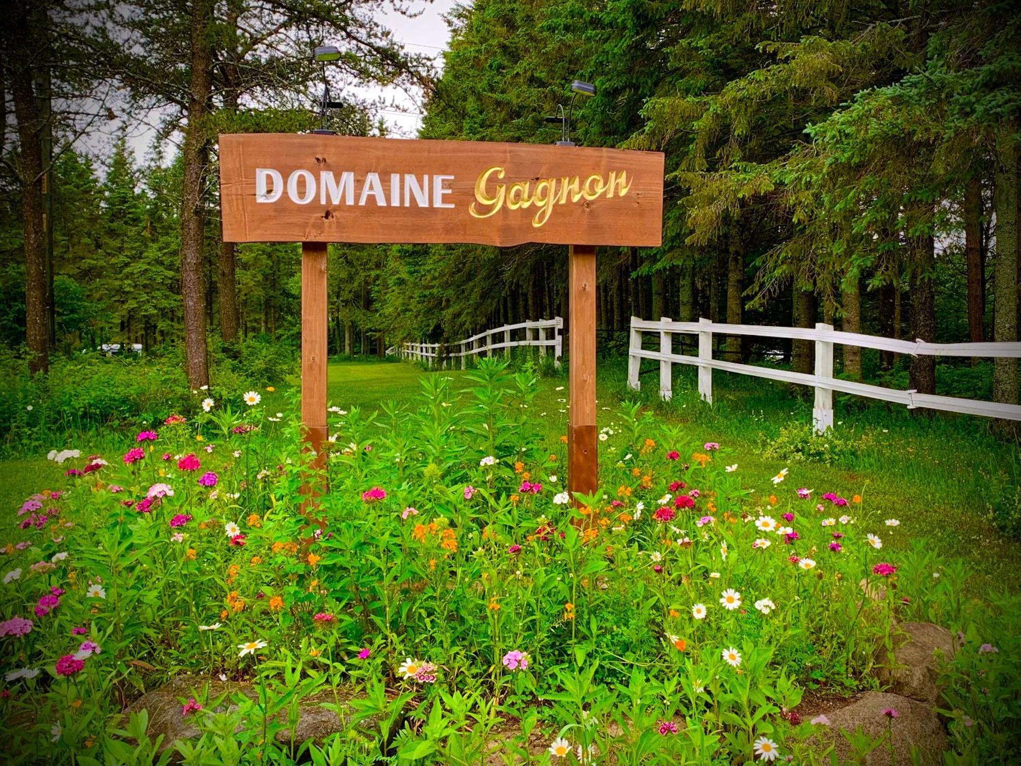 Domaine Gagnon Villa Saint Sebastien ภายนอก รูปภาพ